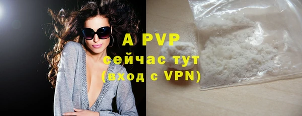 ПСИЛОЦИБИНОВЫЕ ГРИБЫ Пересвет