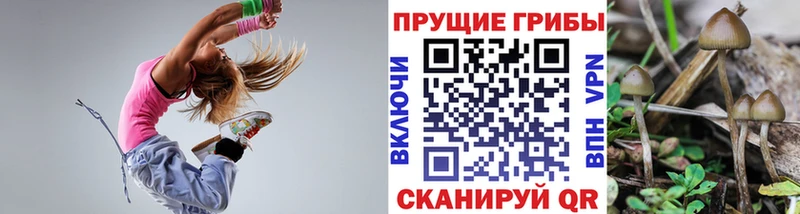 купить наркотики сайты  Сысерть  Псилоцибиновые грибы мицелий 